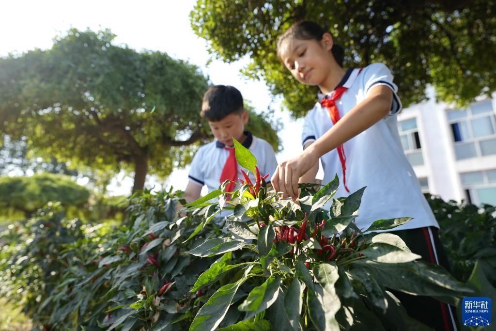 乐虎注册38